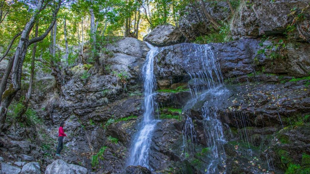 საფარა,ზარზმა,ჭულე, აბასთუმანი