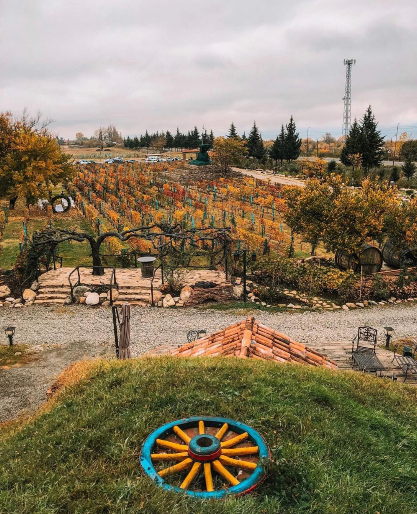 ფესტივალი ,,ღვინის დღეები ყვარელში, წინანდალი, მეღვინეობა ,,შუმი,, ნეკრესი, გრემი