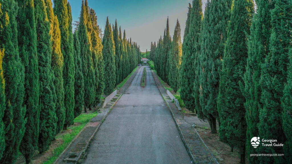 ფესტივალი ,,ღვინის დღეები ყვარელში, წინანდალი, მეღვინეობა ,,შუმი,, ნეკრესი, გრემი