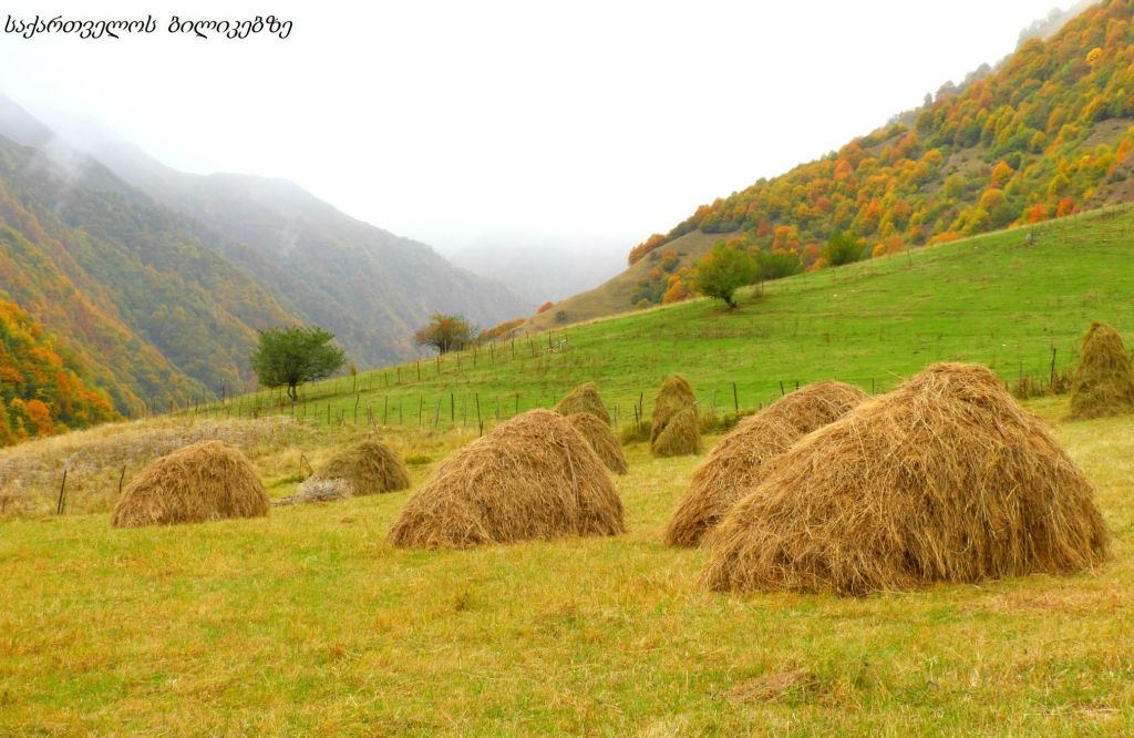 გუდამაყარი