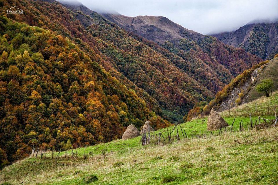 გუდამაყარი