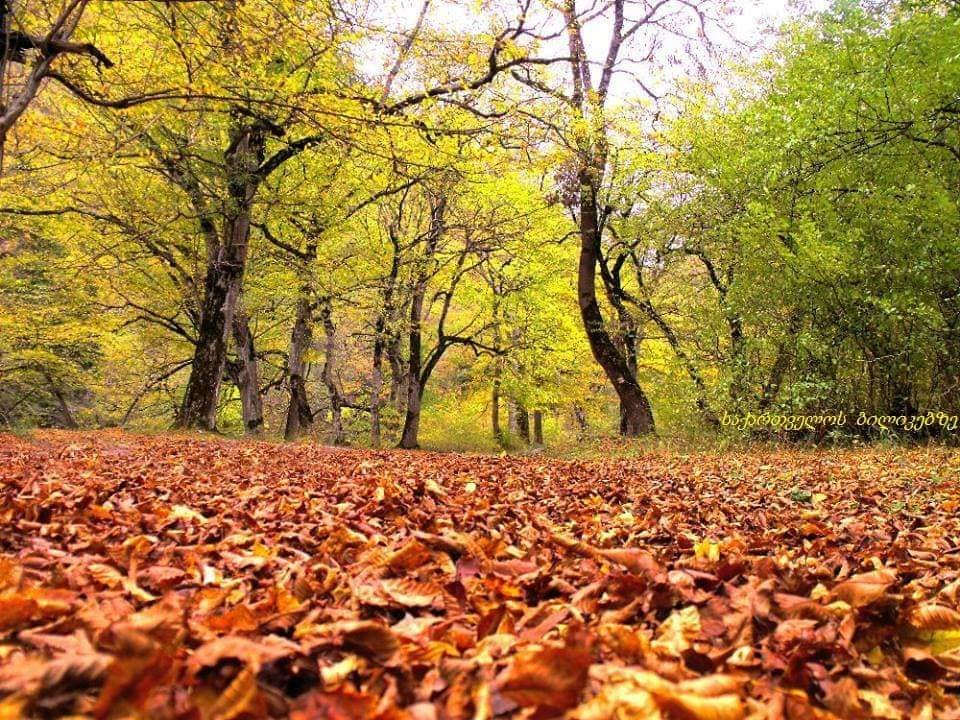 რკონი, ქვათახევი, ერთაწმინდა
