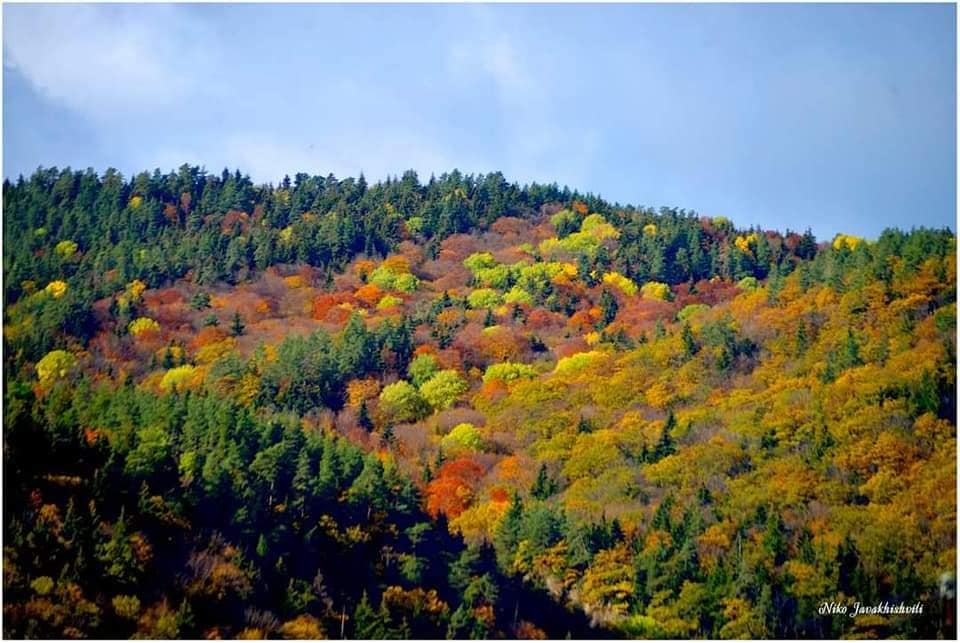 რკონი, ქვათახევი, ერთაწმინდა