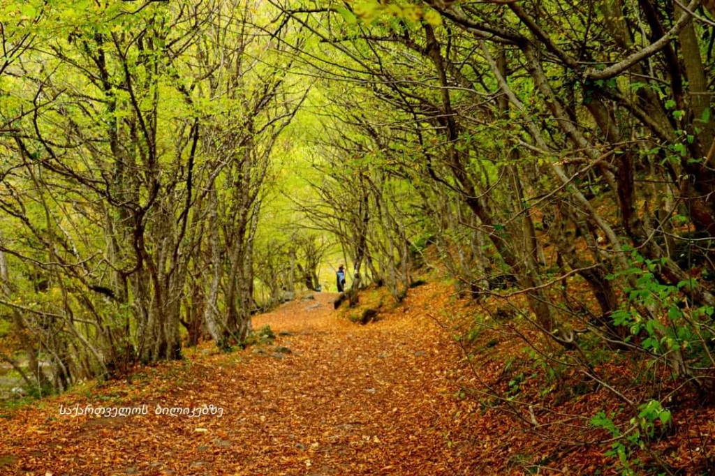 რკონი, ქვათახევი, ერთაწმინდა