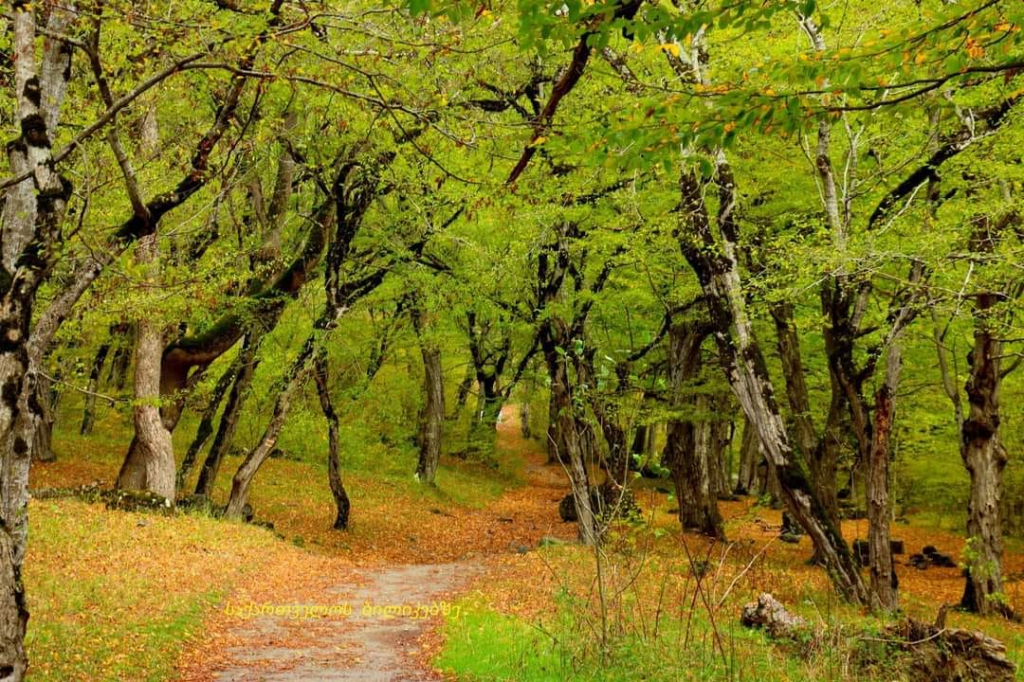 რკონი, ქვათახევი, ერთაწმინდა
