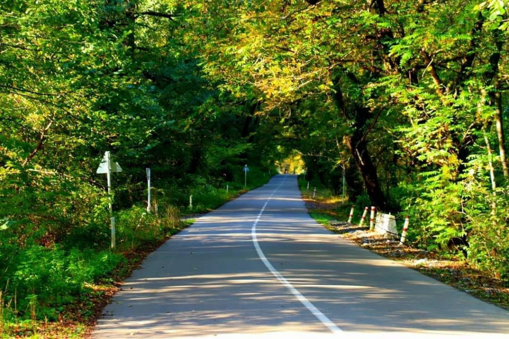 ლაფანყური