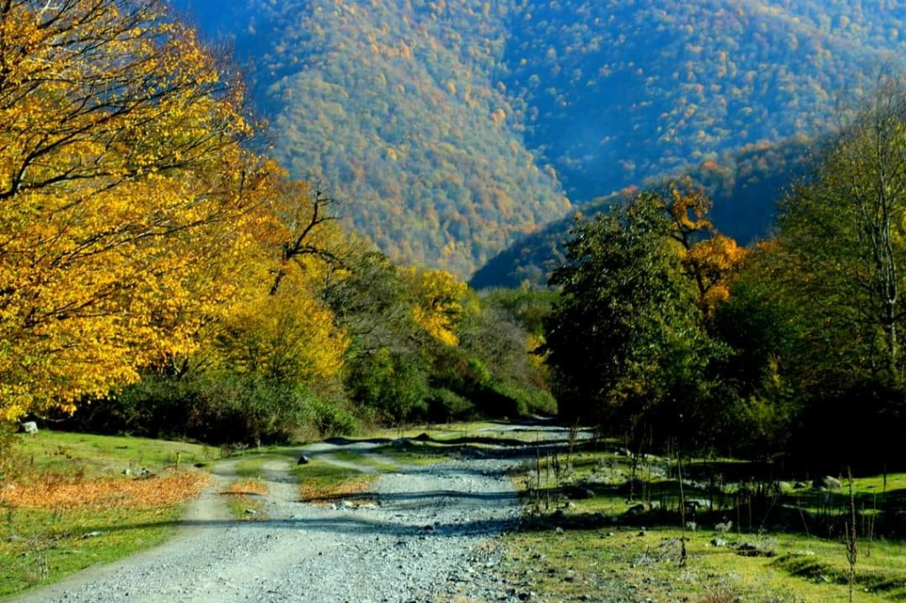 ლაფანყური