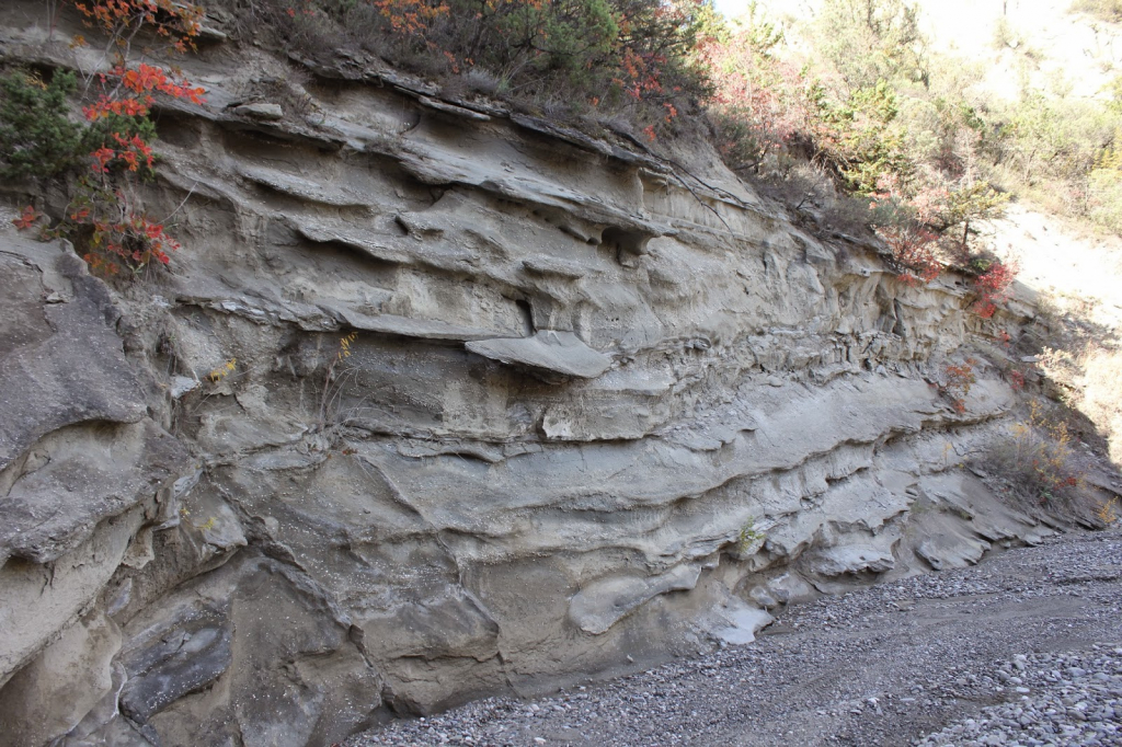 ჯიპ ტური ვაშლოვანის ნაკრძალში: მიჯნის ყურე, პანტიშარა, მერცხლების ქალაქი, დათვის ხევი და ა.შ.