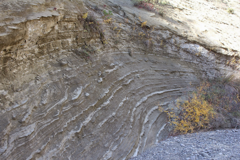ჯიპ ტური ვაშლოვანის ნაკრძალში: მიჯნის ყურე, პანტიშარა, მერცხლების ქალაქი, დათვის ხევი და ა.შ.