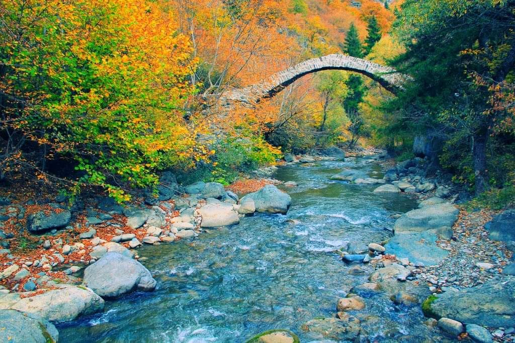 რკონის დღიანი ტური