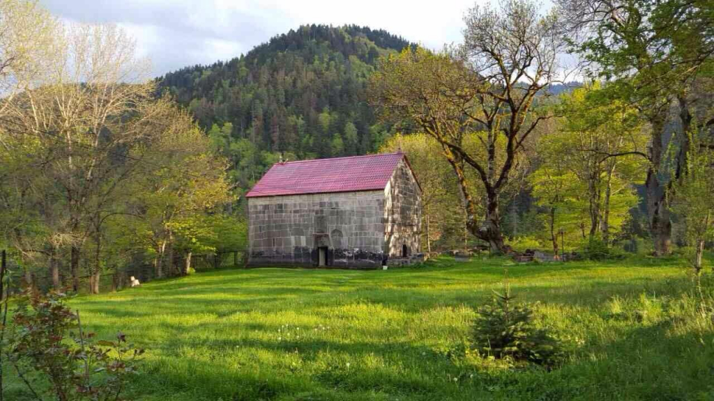 ბორჯომის დღიანი ტური