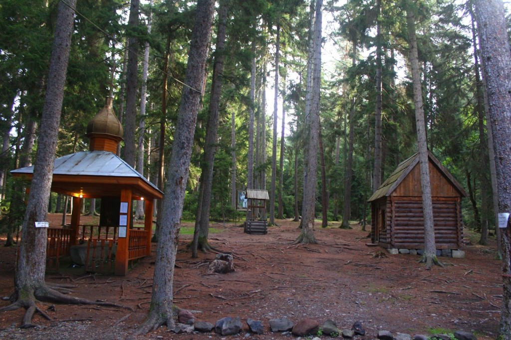 ბორჯომის დღიანი ტური