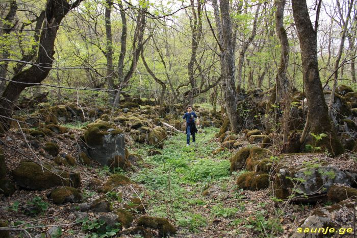 გუდარეხი, მამულო- პანტიანის მეგალითური ნასახლარები, კლდეისის ჩანჩქერი - დელიკით - ინფო ტური