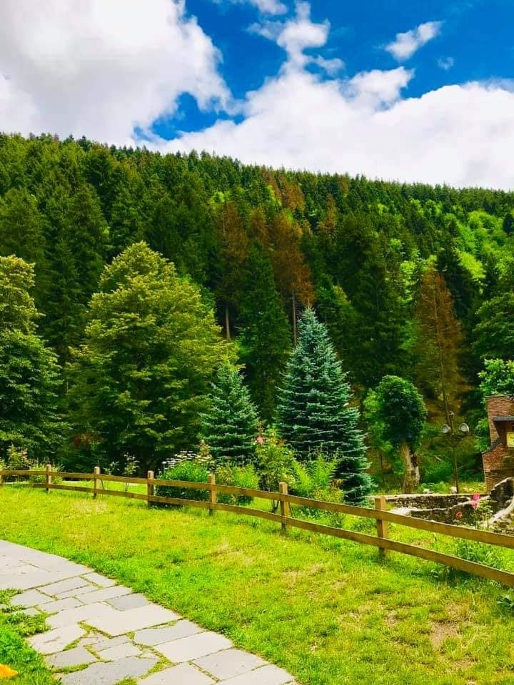 ბორჯომის ხეობა: სადგერი, წაღვერი, ცემი, ქვაბისხევი, დაბა, ტიმოთესუბანი, ბორჯომის პარკი