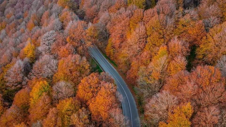 კევლიანი, მამკოდა, საბადური