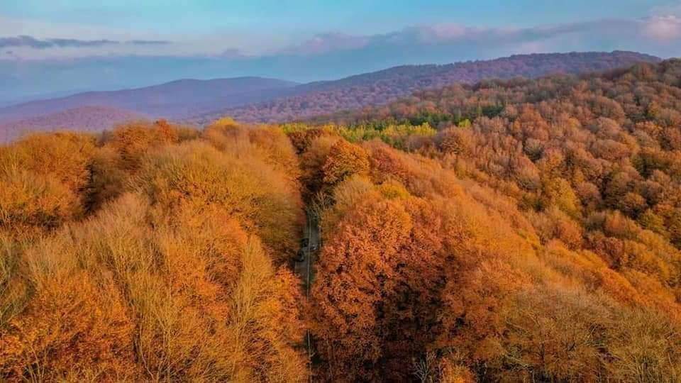 კევლიანი, მამკოდა, საბადური