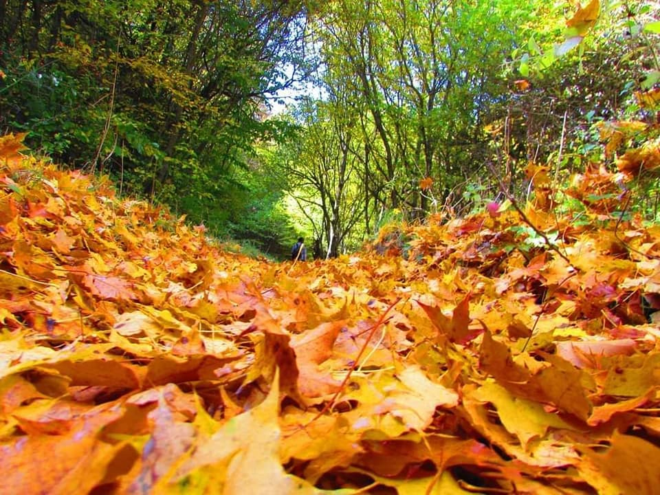 კევლიანი, მამკოდა, საბადური