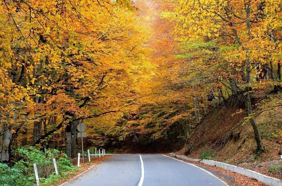 კევლიანი, მამკოდა, საბადური