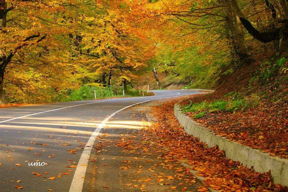 კევლიანი, მამკოდა, საბადური