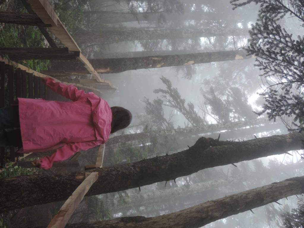 ცხრაჯვარზე ლაშქრობა - რაჭის ტური : ბარაკონი , ნიკორწმინდა