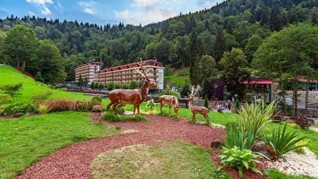 კურორტები: სულორი და საირმე, დიხაშხოს გოგირდისცხელი წყლის აუზები, ვანის მუზეუმი