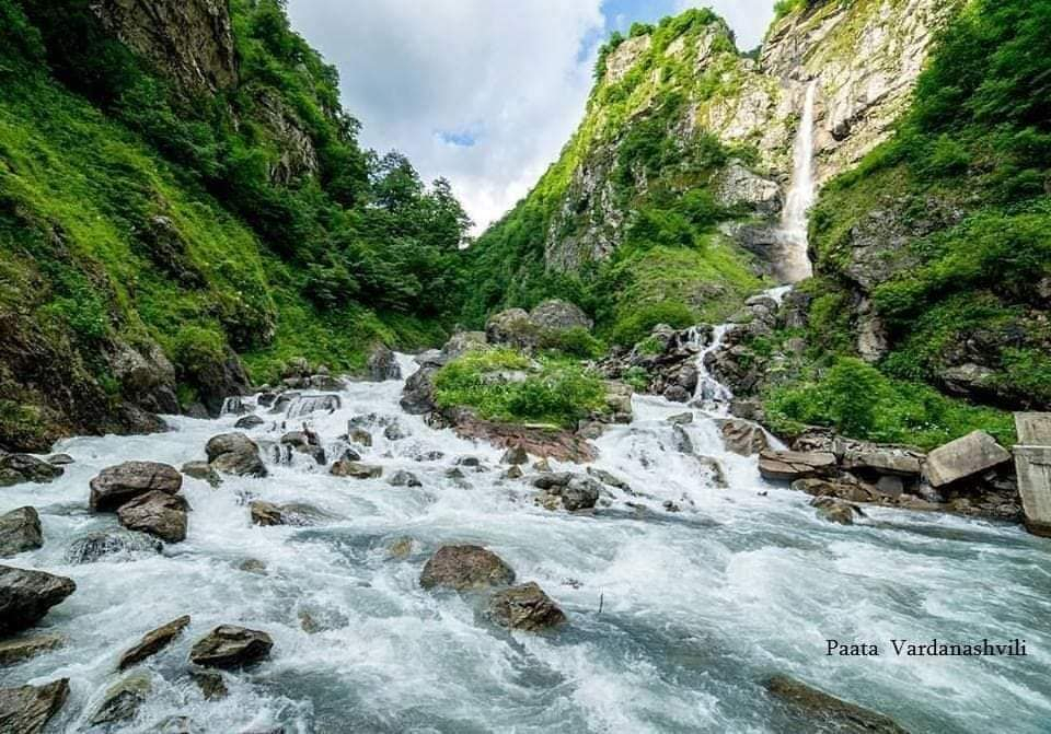 პანკისი - კვეტერა