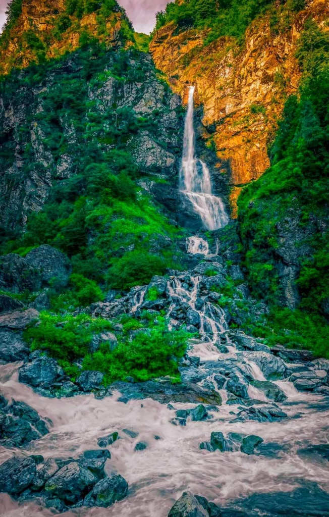 პანკისი - კვეტერა