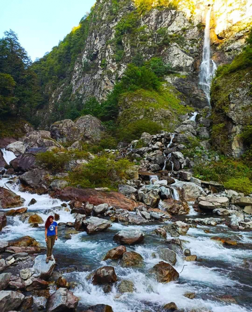 პანკისი - კვეტერა