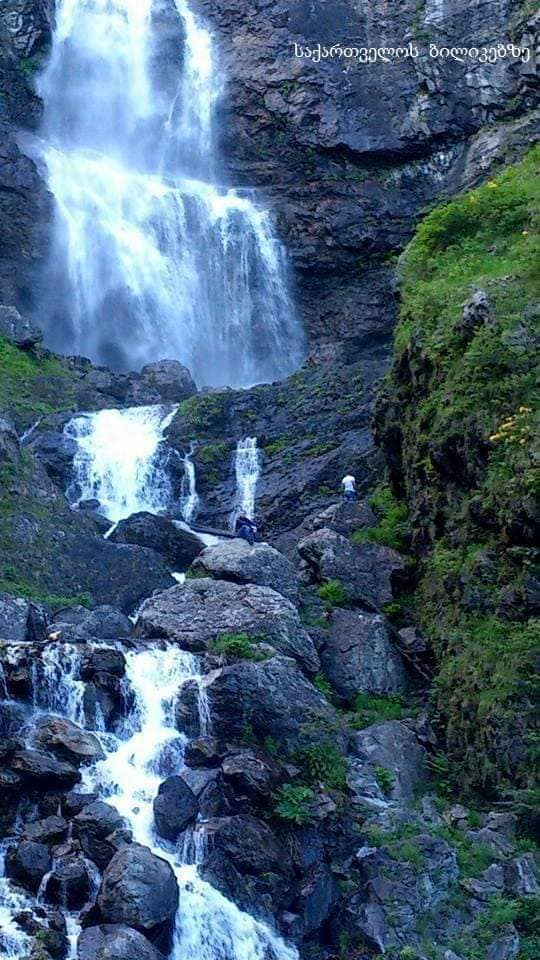 პანკისი - კვეტერა