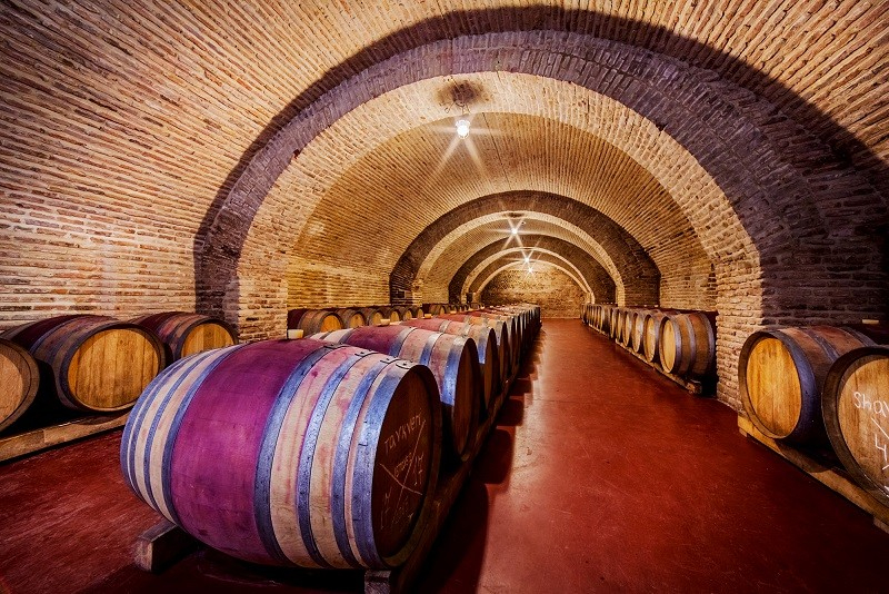 შატო მუხრანის დღიანი ტური