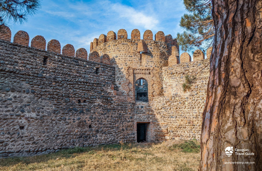 შატო მუხრანის დღიანი ტური