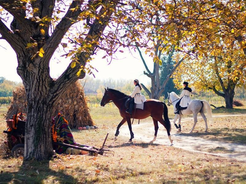 : შატო-მუხრანი, ძალისი, ქანდა, წილკანი, ბაზალეთის ტბა