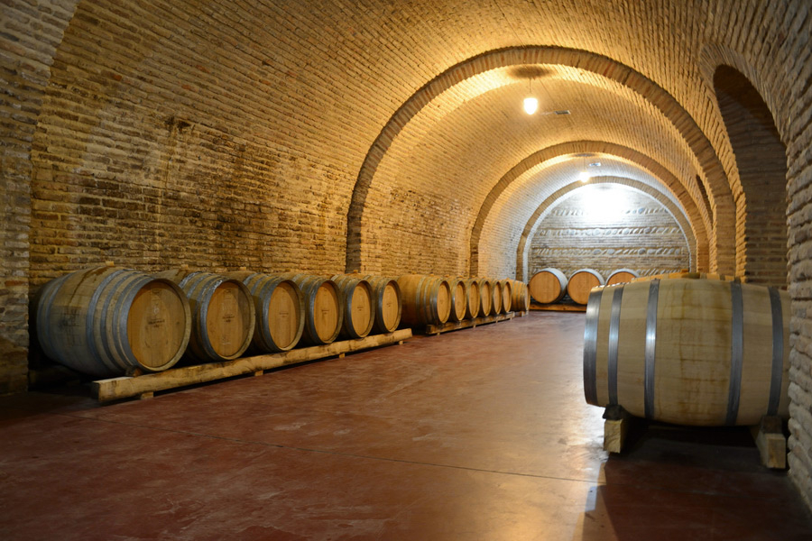 შატო მუხრანის დღიანი ტური