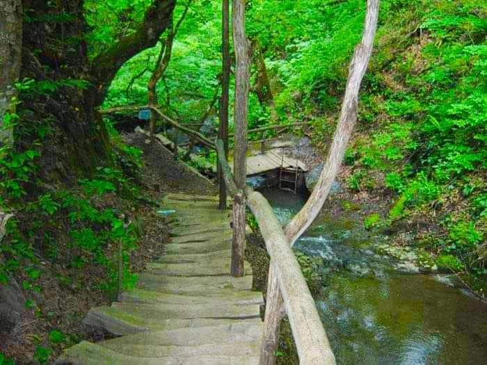 წყალტუბოს სანატორიუმები, ტაბაკინი, ნავენახევის მღვიმე. კოლხური ბაღი