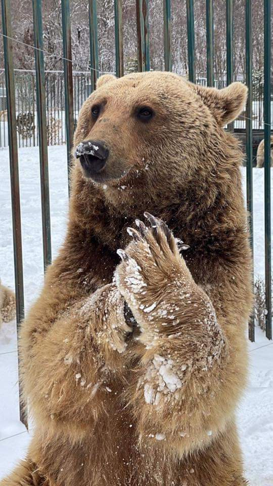 საბადურის ტყის დღიანი ტური