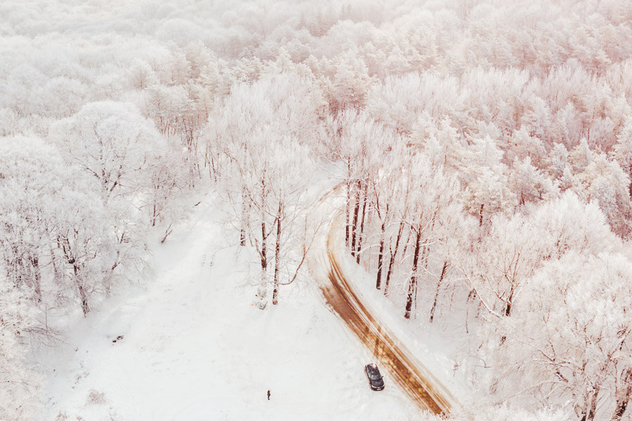 საბადურის ტყის დღიანი ტური