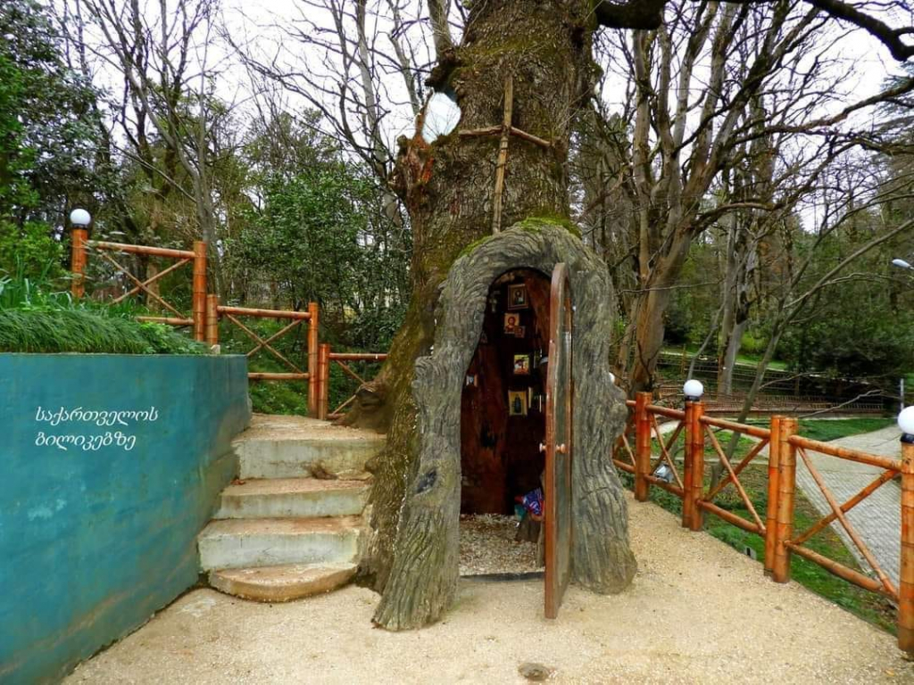 წყალტუბოს სანატორიუმები, ტაბაკინი, ნავენახევის მღვიმე. კოლხური ბაღი