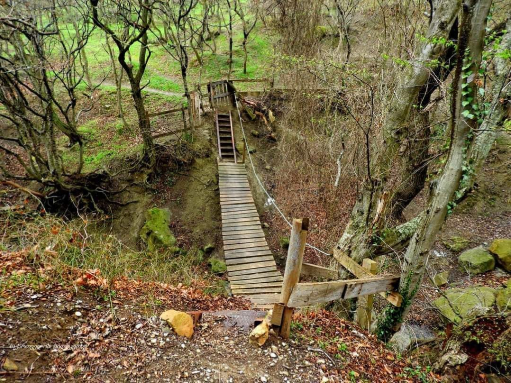 : ლაშქრობა თბილისის ეროვნულ პარკში და პეტრეს მთაზე