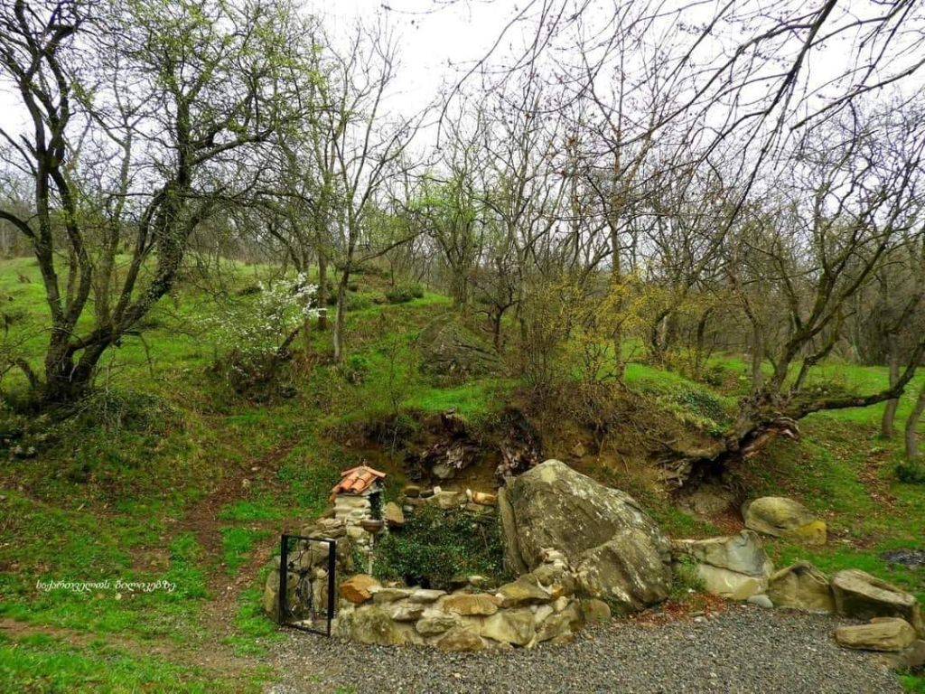 : ლაშქრობა თბილისის ეროვნულ პარკში და პეტრეს მთაზე