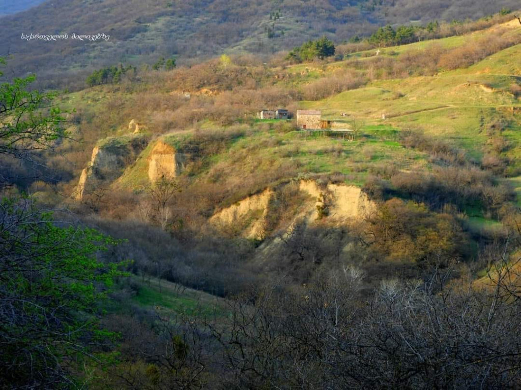: ლაშქრობა თბილისის ეროვნულ პარკში და პეტრეს მთაზე