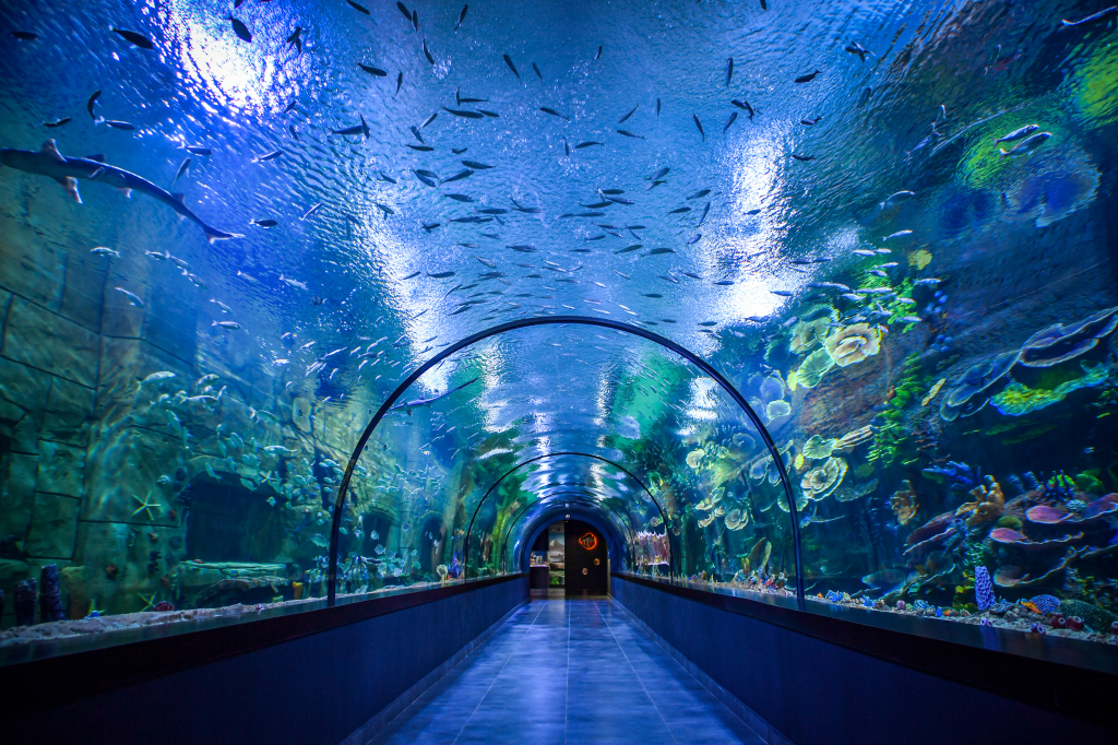 სუმელა-უზუნგულის ტბა -ტრაპიზონი : 3 დღიანი ტური