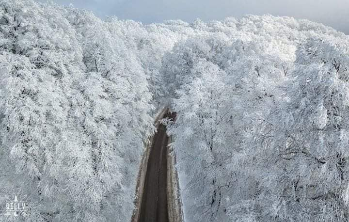 აქცია : - საბადური, დათვების თავშესაფარი, ნადოკრა