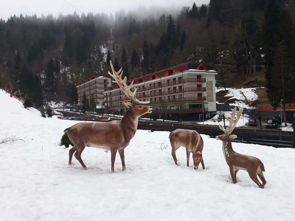 საირმე, დიხაშხოს ცხელი წყლის აუზები