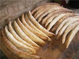 სიღნაღი ; ლეგენდარული წინაპრების თავშესაფარი, წმინდანის მონასტერი და ყველა საოცრება . . .