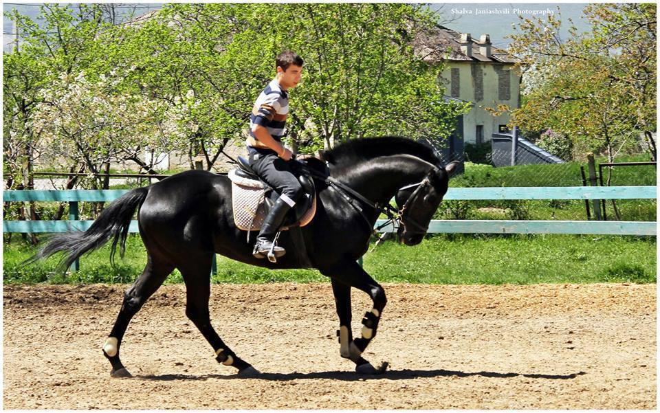 შატო-მუხრანი, ძალისი, ქანდა, მჭადიჯვარი და ა.შ.