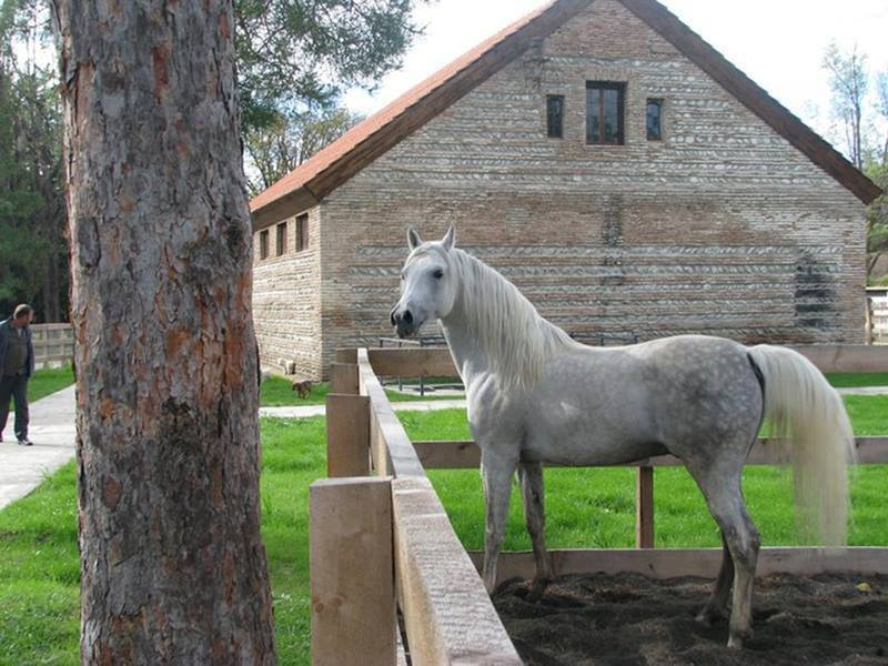 შატო-მუხრანი, ძალისი, ქანდა, მჭადიჯვარი და ა.შ.