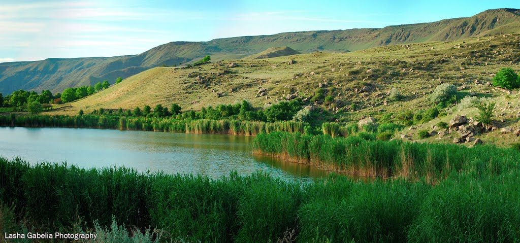 ვარძია, თავკვეთულა, ჭაჭკარი, წუნდა