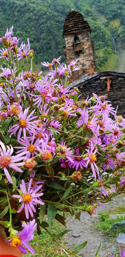 3 დღიანი დაუვიწყარი ტური თუშეთში