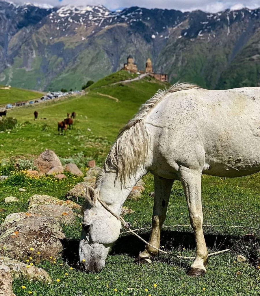 1 დღიანი ყაზბეგის ტური