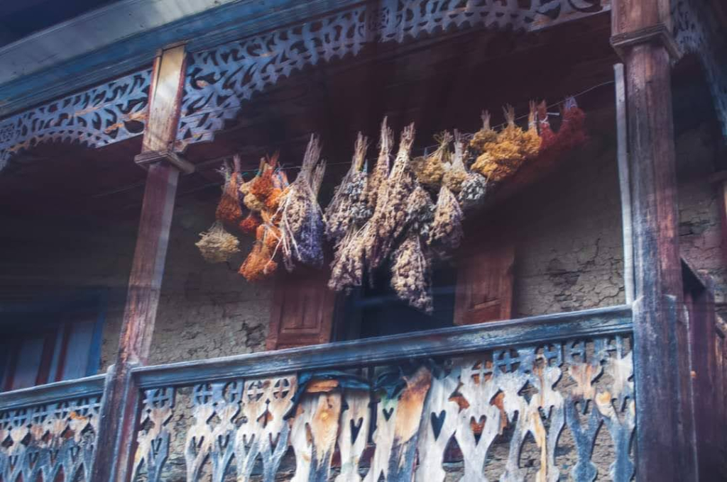 3 დღიანი დაუვიწყარი ტური თუშეთში